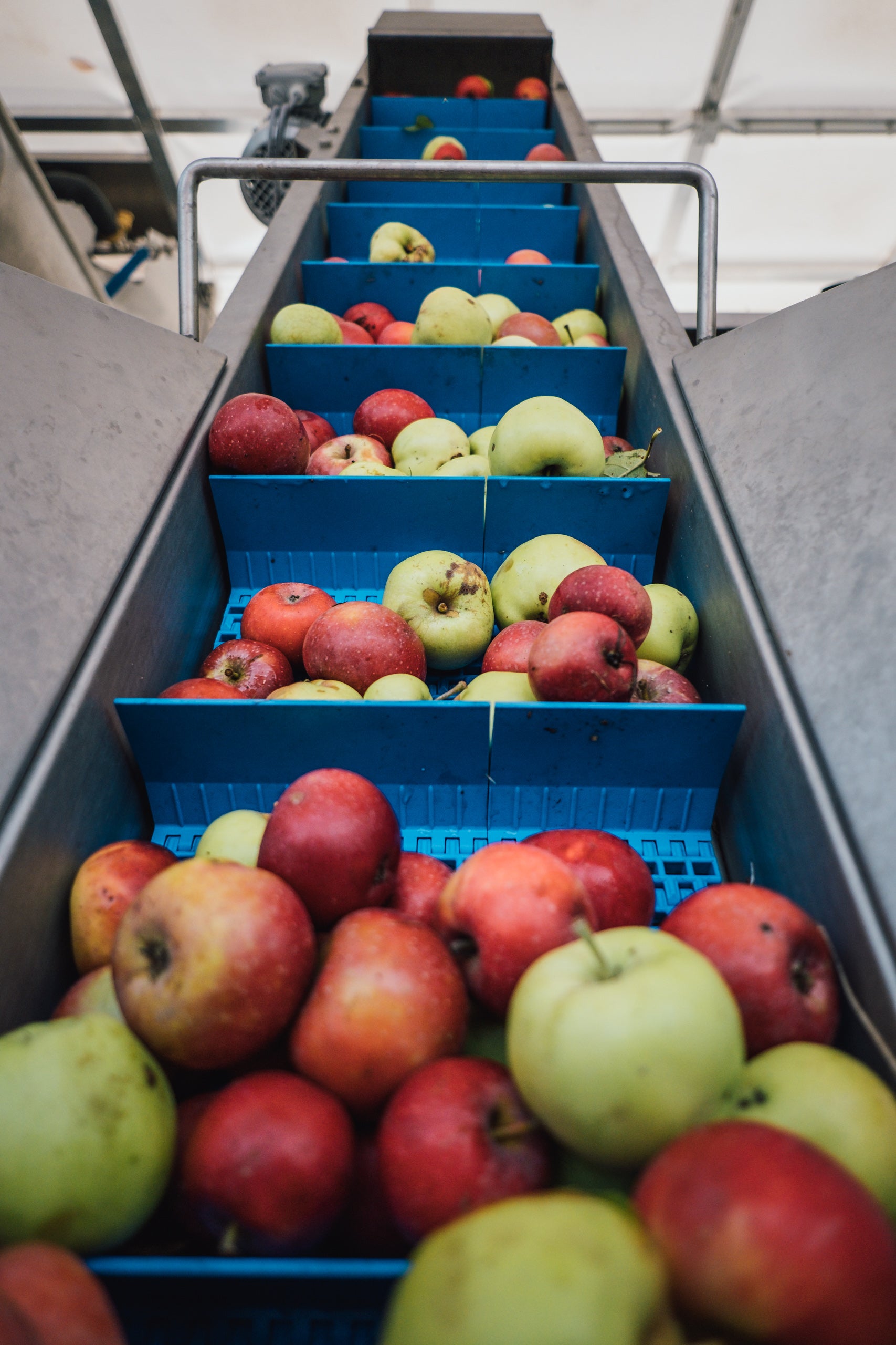 Louises Fruchtsaft Apfel 5000ml